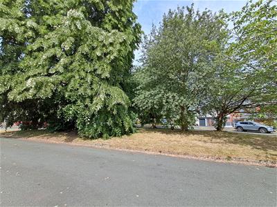 Picture 22